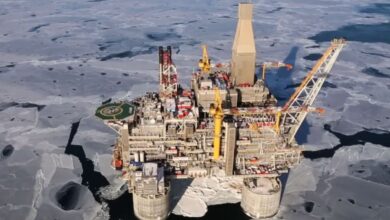 Plataforma Berkut a estrutura com o