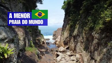 Ilha da Selinha, em Ubatuba (SP), busca reconhecimento do Guinness como a menor praia do mundo e destaca sua preservação ambiental. Foto: Bruno Amir