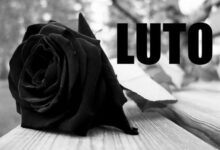 Nossa querida apresentadora de TV m0rre em ac1dente de avi…Ver mais