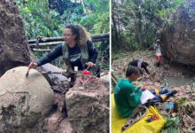 Árvore cai na Amazônia e revela mistério arqueológico milenar, contendo sete urnas funerárias sob suas raízes