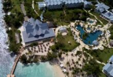 CEO de tecnologia constrói