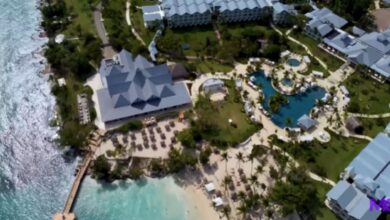 CEO de tecnologia constrói