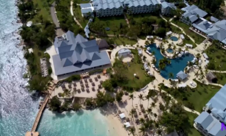 CEO de tecnologia constrói