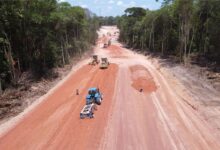 COP30, ironia mundial: O evento que fala em salvar o clima destruiu mais de 100 hectares de floresta para abrir uma avenida de 13 km em plena Amazônia