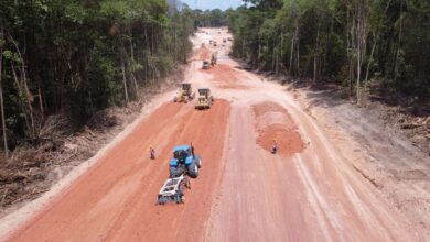 COP30, ironia mundial: O evento que fala em salvar o clima destruiu mais de 100 hectares de floresta para abrir uma avenida de 13 km em plena Amazônia