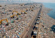 No ciclo industrial, toneladas de plástico passam por triagem óptica, extrusão a 520 ºC, viram pré-formas e retornam ao mercado pela reciclagem.