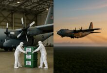 Os Estados Unidos liberam milhões de moscas estéreis toda semana para impedir que uma praga devastadora avance pela América Latina