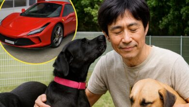 Aos 54 anos, empresário japonês vende Ferrari, encerra a própria empresa e dedica toda a fortuna para criar abrigo que resgata cães maltratados e planeja acolher 300 animais até 2028