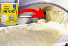 Descubra como ocorre a produção de leite nas fazendas e na fábrica de leite em pó, com tanques de refrigeração e processo de pasteurização de alta qualidade.