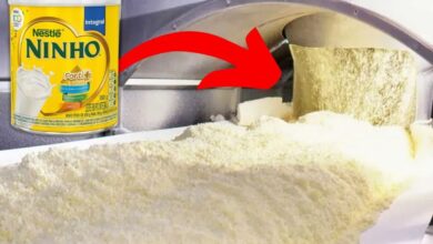 Descubra como ocorre a produção de leite nas fazendas e na fábrica de leite em pó, com tanques de refrigeração e processo de pasteurização de alta qualidade.