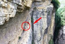 Em Guizhou, uma estrada de tábuas escavada em um penhasco abriga um antigo canal construído por moradores locais, símbolo de coragem e precisão.