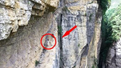 Em Guizhou, uma estrada de tábuas escavada em um penhasco abriga um antigo canal construído por moradores locais, símbolo de coragem e precisão.