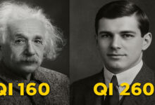 A família que criou um