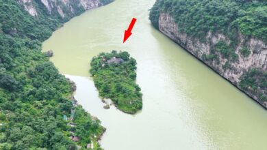 Família vive isolada em uma ilha no Rio Jinkou, com água disponível, natureza preservada e proteção do cânion há mais de 20 anos.