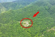 Em Guizhou, uma família isolada vive há quatro gerações em plena floresta de montanha, mantendo um modo de vida autossuficiente baseado em agricultura, energia solar e água de nascente.