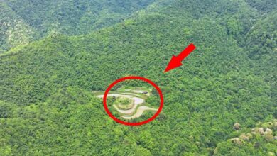 Em Guizhou, uma família isolada vive há quatro gerações em plena floresta de montanha, mantendo um modo de vida autossuficiente baseado em agricultura, energia solar e água de nascente.