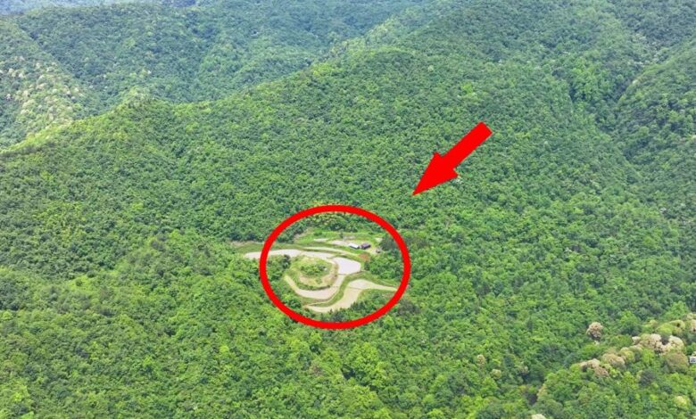 Em Guizhou, uma família isolada vive há quatro gerações em plena floresta de montanha, mantendo um modo de vida autossuficiente baseado em agricultura, energia solar e água de nascente.