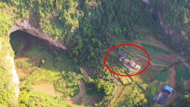 Cinco famílias vivem em uma cova natural em Wulong, em Chongqing, formando um paraíso escondido em um vale autossuficiente que revela um modo de vida único.