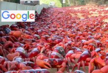 O Google anuncia novos planos de cabos submarinos na Ilha do Natal, território australiano com 1.500 habitantes e 120 milhões de caranguejos. Entenda por que o local é estratégico para a tecnologia global.