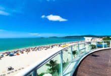 Descubra por que a ilha catarinense de Florianópolis virou refúgio de surfistas e famílias, com praias variadas, clima ameno o ano todo e experiências completas à beira-mar.