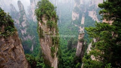 Montanha chinesa de 1.080 metros inspirou o filme Avatar e encanta turistas com formações de arenito e paisagens cobertas por nuvens