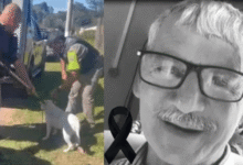 M0rre Seu Sampaio Após Ser At4cado Por P1tbulls Enquanto Trab…Ver mais