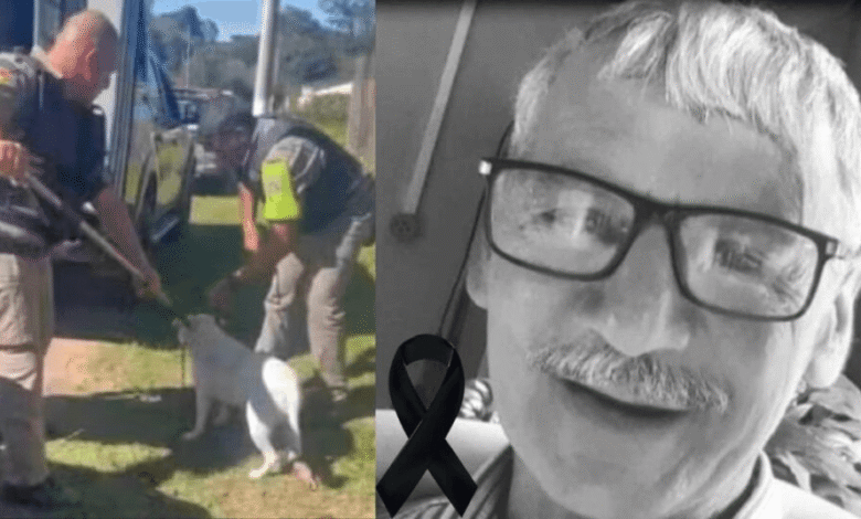 M0rre Seu Sampaio Após Ser At4cado Por P1tbulls Enquanto Trab…Ver mais