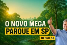 Parque Estadual do Morro Grande em São Paulo protegerá 10.870 hectares de Mata Atlântica e nascentes que abastecem 400 mil pessoas.