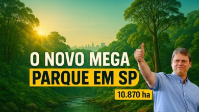 Parque Estadual do Morro Grande em São Paulo protegerá 10.870 hectares de Mata Atlântica e nascentes que abastecem 400 mil pessoas.