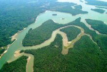 O maior rio genuinamente nordestino nasce no Piauí, percorre dois estados e forma um delta impressionante antes de desaguar no Atlântico.