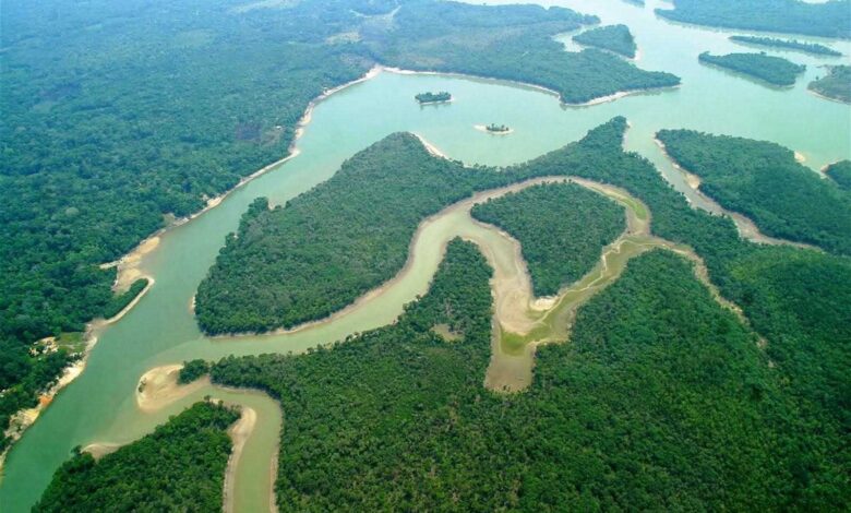 O maior rio genuinamente nordestino nasce no Piauí, percorre dois estados e forma um delta impressionante antes de desaguar no Atlântico.