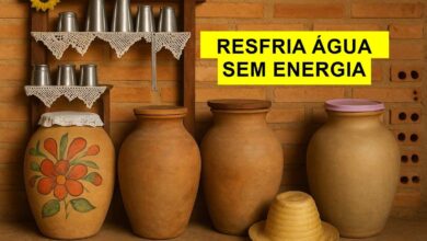 Tradição do pote de barro no Nordeste mostra como técnicas ancestrais ainda garantem água fresca sem energia e preservam memória cultura