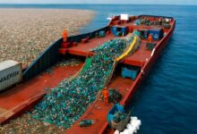 Novas embalagens feitas com plástico recolhido do mar mostram como lixo do oceano vira garrafas, roupas e produtos reciclados em uma cadeia de economia circular.