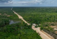 A saga da rodovia bilionária, planejada para rasgar a selva e conectar o