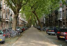 Rua, Árvores, Lomanstraat