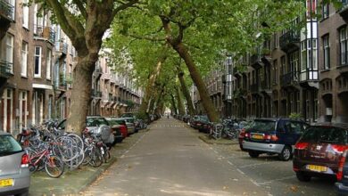 Rua, Árvores, Lomanstraat