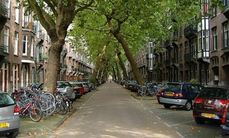 Rua, Árvores, Lomanstraat