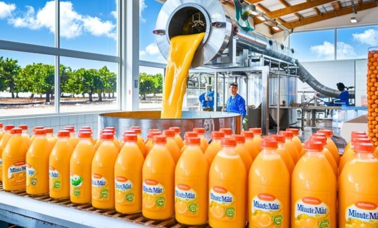 Você imaginava que o suco de laranja brasileiro passava por tanta tecnologia e etapas industriais antes de chegar ao seu copo ou sempre viu como algo simples do dia a dia?