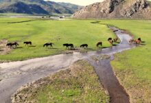 No coração da Ásia, um povo vive uma vida isolada há séculos com mais cavalos do que pessoas, morando em casas móveis e resistindo a temperaturas de -40°C