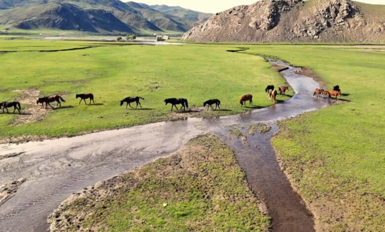 No coração da Ásia, um povo vive uma vida isolada há séculos com mais cavalos do que pessoas, morando em casas móveis e resistindo a temperaturas de -40°C