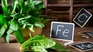 11 alimentos ricos em ferro para aumentar a imunidade e a disposição