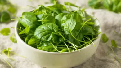 Agrião: 8 benefícios para a saúde e por que incluir a verdura na sua dieta