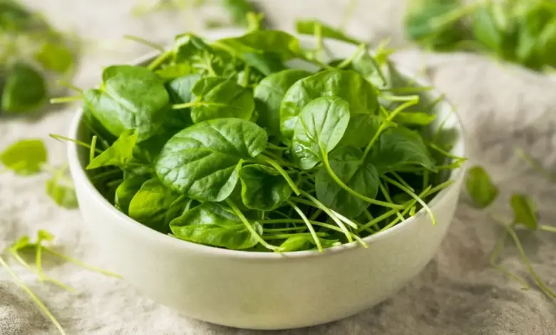 Agrião: 8 benefícios para a saúde e por que incluir a verdura na sua dieta