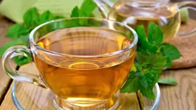 8 soluções naturais para melhorar a digestão e reduzir desconfortos