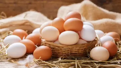 5 razões para incluir ovos na dieta durante o Carnaval