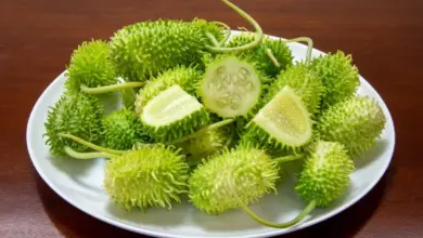 Maxixe ajuda a emagrecer? Veja 6 benefícios do vegetal e como incluir na dieta