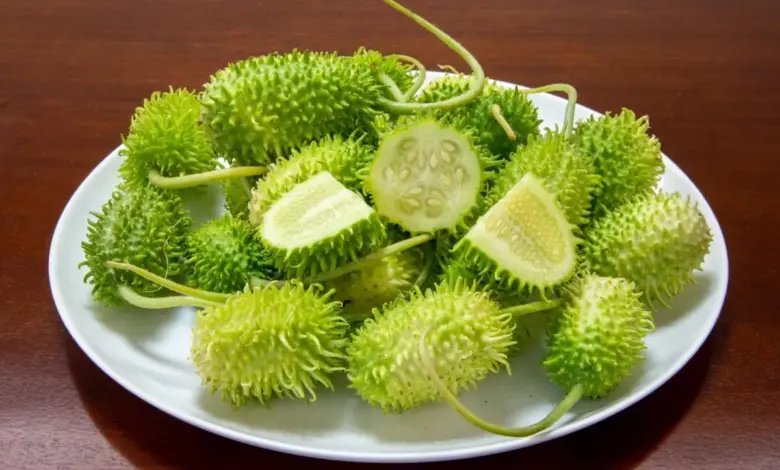 Maxixe ajuda a emagrecer? Veja 6 benefícios do vegetal e como incluir na dieta