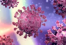 Mpox e outros vírus em alerta: entenda se o Brasil está preparado para uma nova pandemia