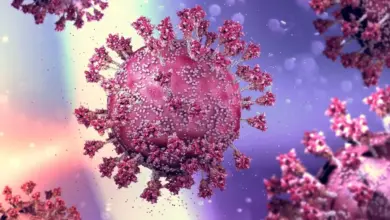 Mpox e outros vírus em alerta: entenda se o Brasil está preparado para uma nova pandemia