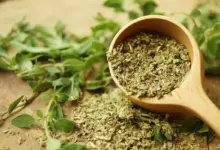Orégano: benefícios da erva aromática e dicas para cultivar em casa